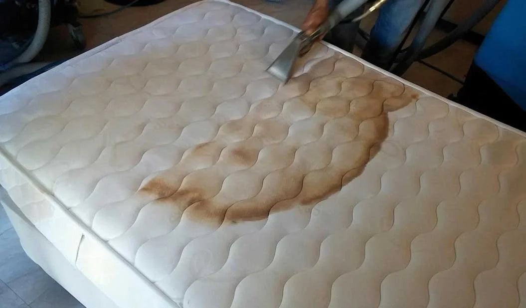 limpieza tapicería colchones